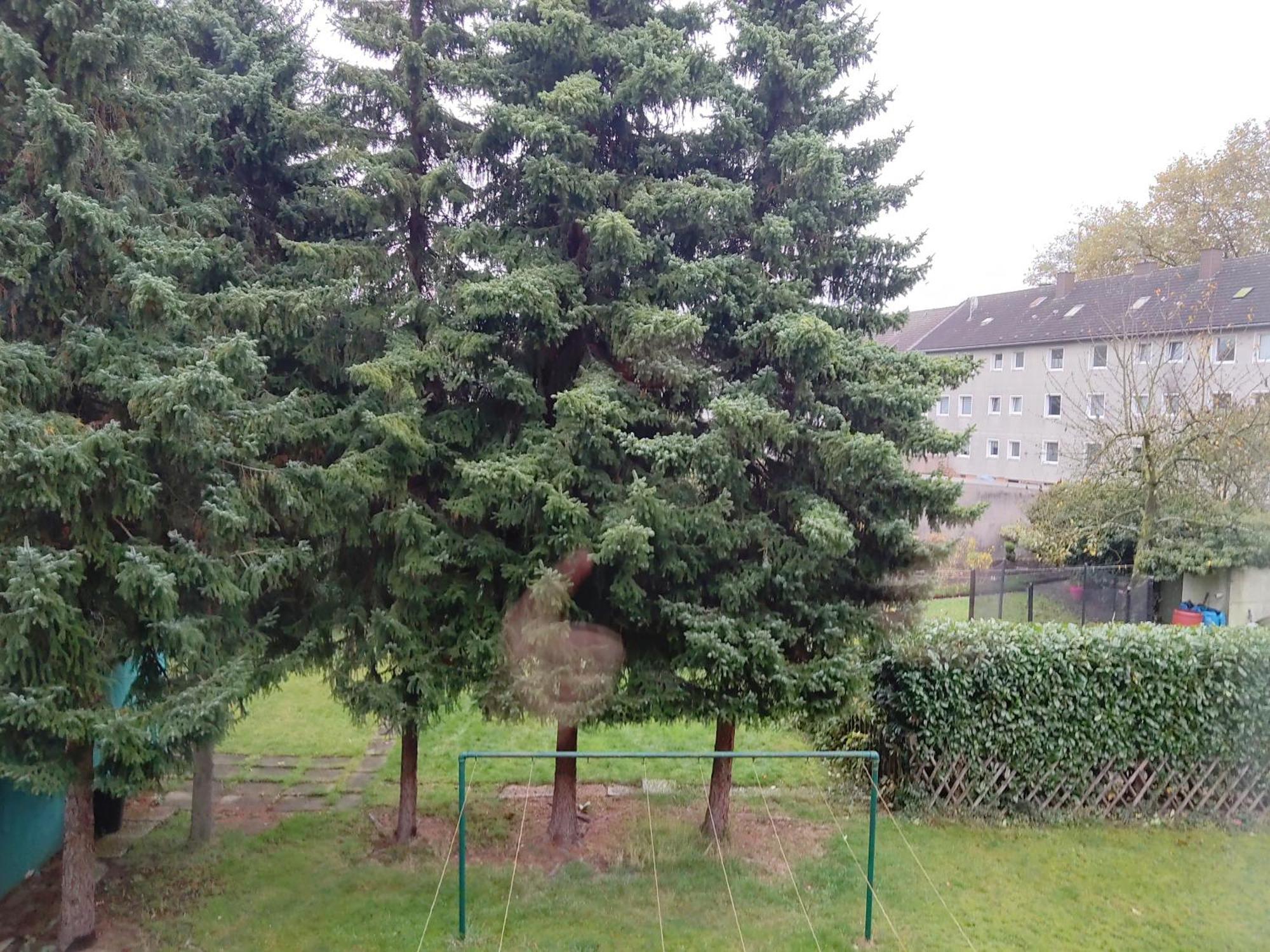 Komfortables Und Ruhiges Apartment Gelsenkirchen